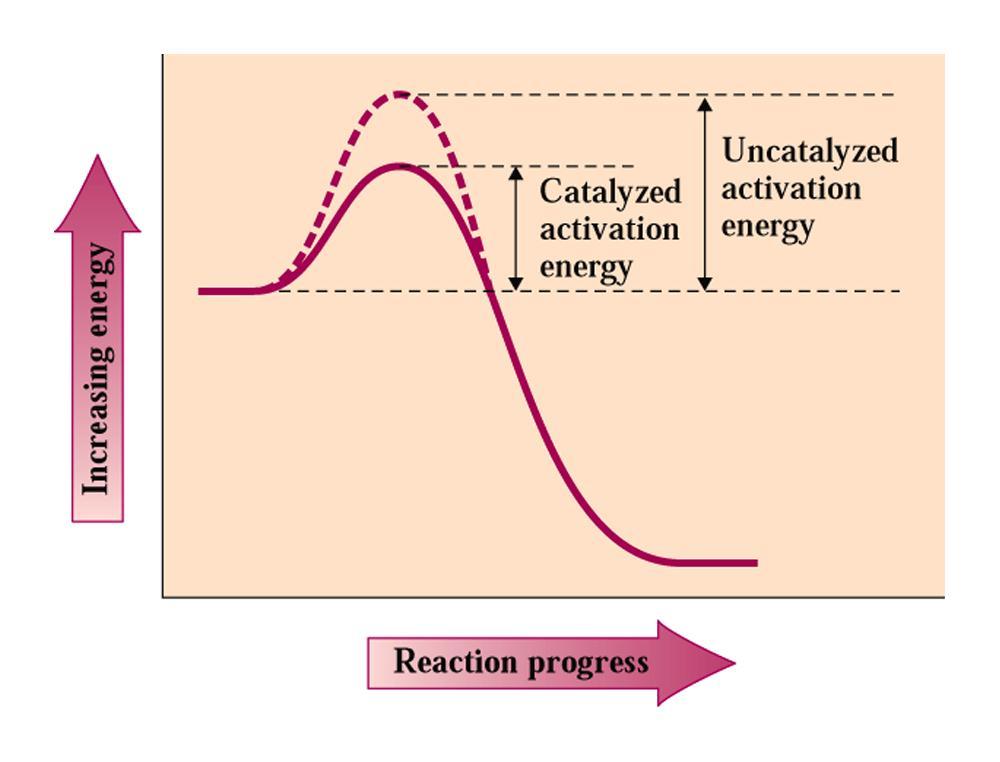 Factors that influence reaction rates How catalysts affect