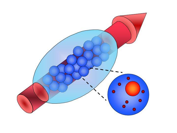Rydberg gate scheme Gate operations are mediated by excitation of Rydberg states Jaksch et al., Phys. Rev. Lett. 85, 2208 (2000) Do not need to move atoms! FAST!
