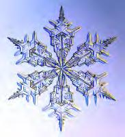 1 Snowflakes commonly show six-fold symmetry.