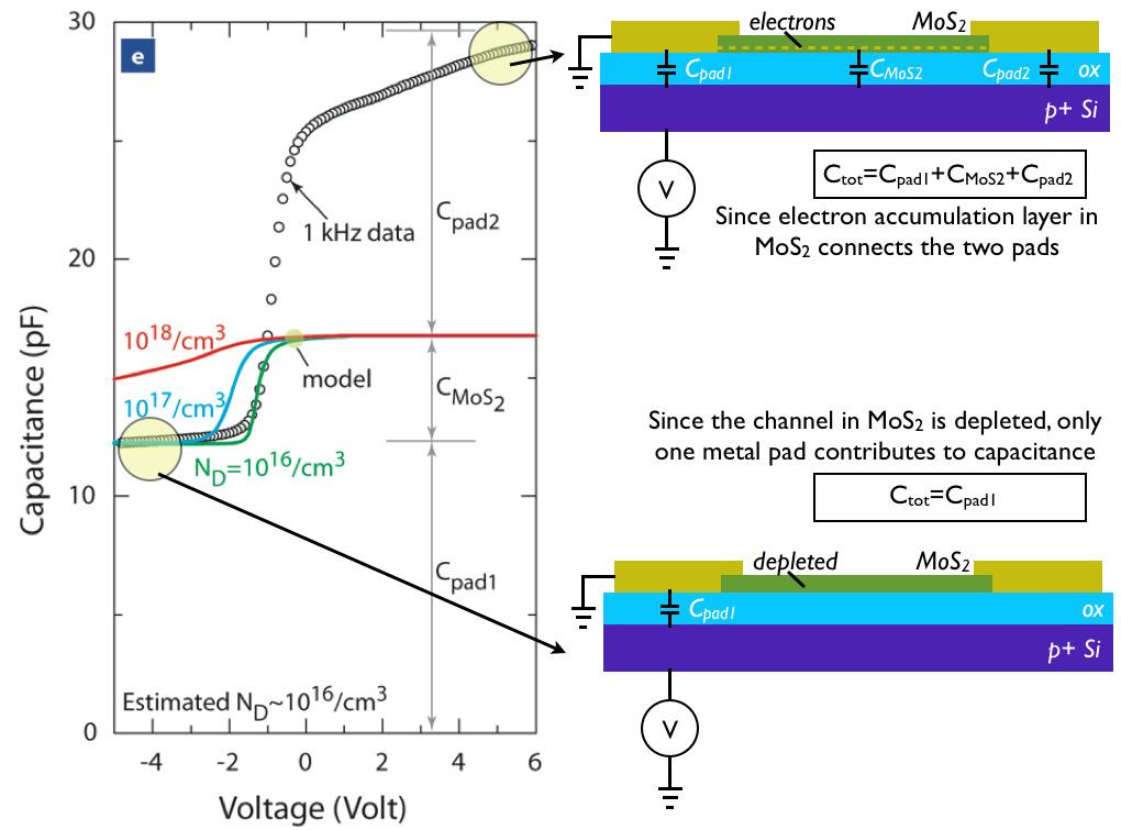 Supplementary Fig S2: Capacitance-voltage curves of MoS 2 TFT devices.