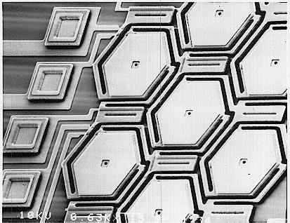 100 µm wide gold hexagonal mirror