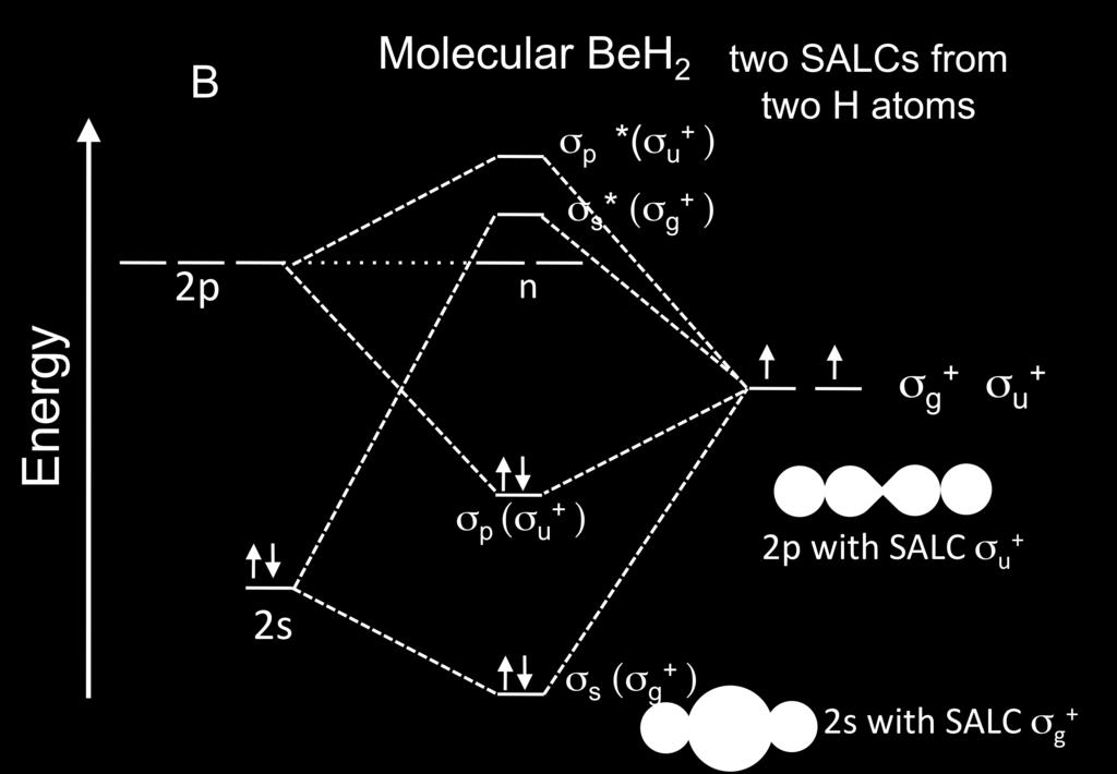 x 2 + y 2, z 2 B 1g 1-1 1 1-1 1-1 1 1-1 x 2 - y 2 E u 2 0-2 0 0-2 0 2 0 0 (x, y) AO #1 AO #2 AO #3 AO #4 Total: SALC (a 1g ) ¼ ¼ ¼ ¼ =1 SALC (e u ) ½ 0 ½ 0 =1 SALC (e u ) 0 ½ 0 ½