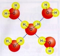 The partial negative charge will attract the partial positive charge of another molecule, holding them together Hydrogen Bonding