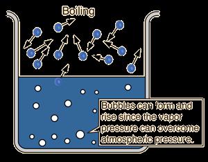 The boiling point is the temperature at which its equilibrium vapor