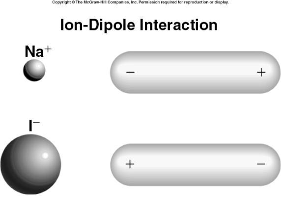 What type(s) of intermolecular forces exist