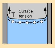 adhesion and surface tension