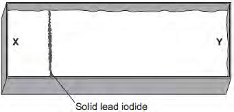 The students added a crystal of lead nitrate at position X and a crystal of potassium iodide at position Y, as shown in Figure 2.