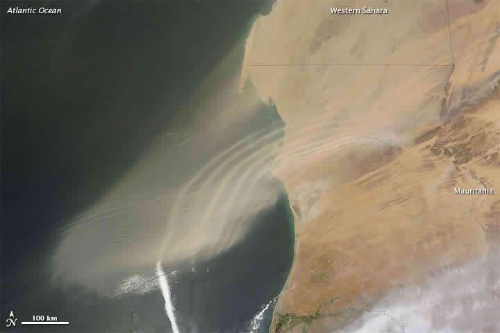 3 1.2 Mineral Dust Aerosol Mineral dust aerosol is generated from windblown soil at an estimated rate of 800-2000 Tg/yr.