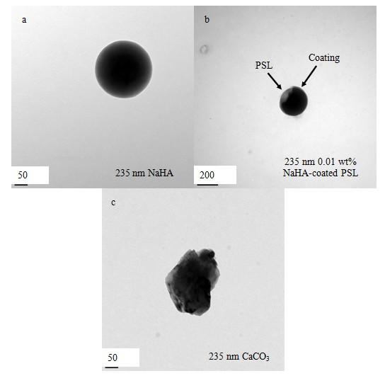 Figure 4-3 TEM images of 235 nm size-selected aerosol particles generated from (a) 1.