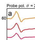 Supplementary Figure 7 Pump-polarization-dependent DT spectra.