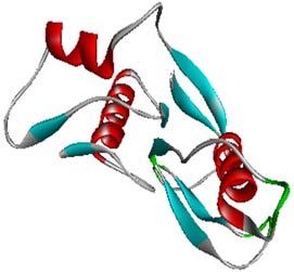 2 Description of the structure of SoxZ The modelled structure of SoxZ is a 104 amino acid similar to the structure of the SoxZ protein from the SoxYZ complex from Paracoccus denitrificans (PDB code: