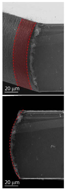 Results on silicon 100 µm thick