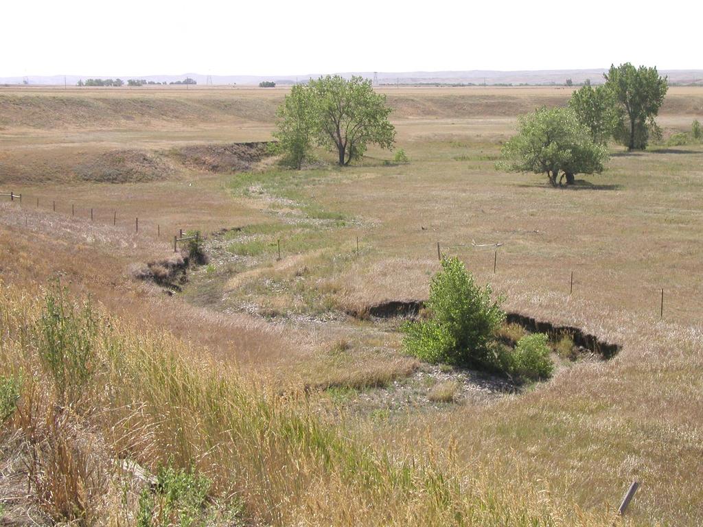 Tributary to Rapid Creek west of Rapid City, SD 4 5 2 3 1 Numbers denote