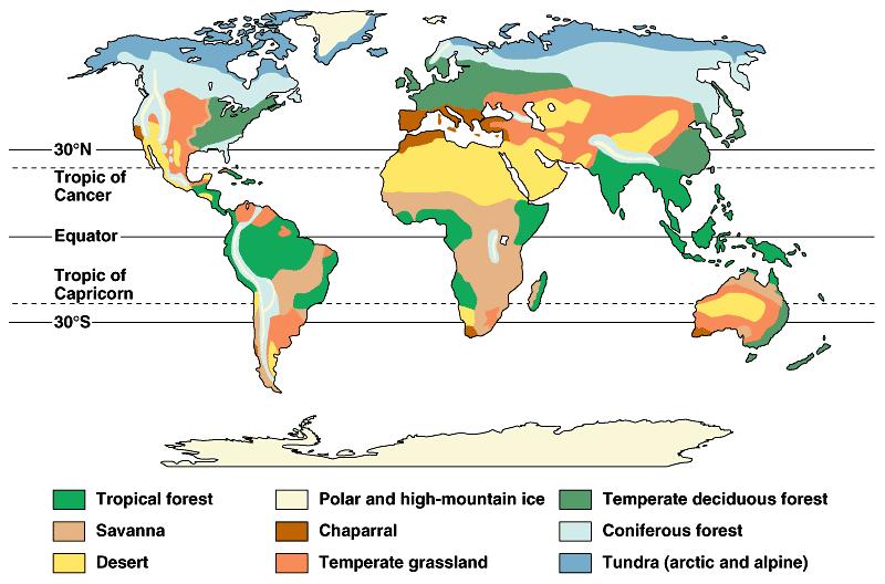 2.The geographic distribution of terrestrial biomes is