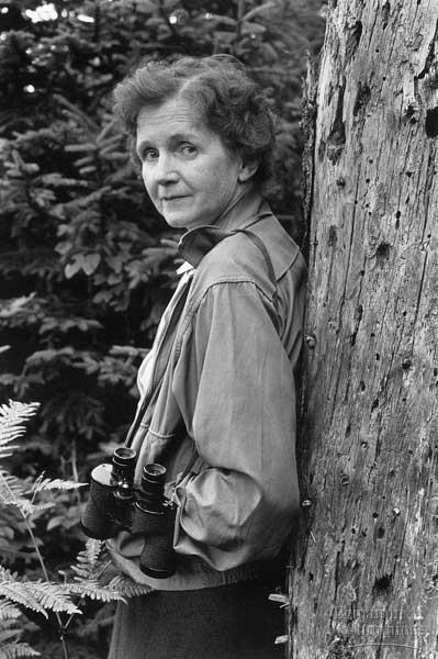 4. Ecology provides a scientific context for evaluating environmental issues Rachel Carson, in 1962, warned that the use of pesticides such as DDT was causing