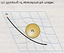 Since the world line of an accelerated particle in spacetime is curved, then by the principle of equivalence, a particle moving under the effect of gravity must also have a curved world line in