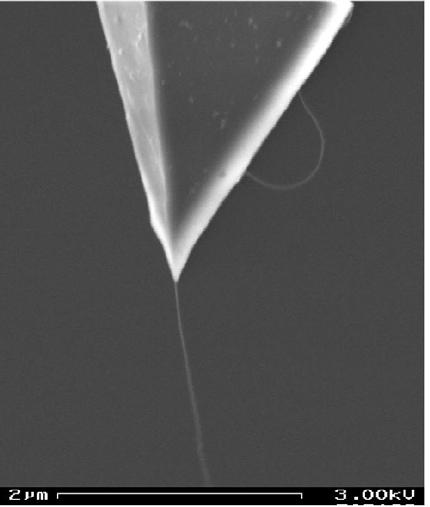 Nanotubes as AFM tips Image from Jason Hafner.