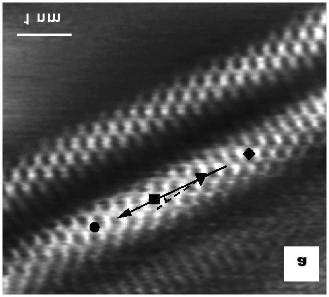 2.2 Symmetry of single-walled carbon nanotubes 13 Figure 2.5: Scanning tunneling microscopy images of an isolated semiconducting (a) and metallic (b) singlewalled carbon nanotube on a gold substrate.