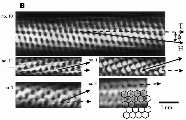 STM Measurements of Nanotube van Hove