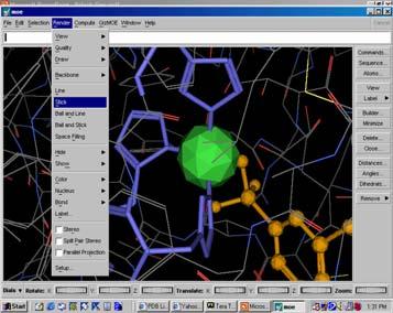 Then, color the ligand by chosing Color, Basic. Creating a View with MOE Display the Zn atom, highlighting the three bound His residues.