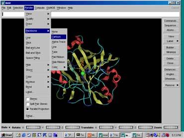 Creating a View with MOE Change the display of the protein.