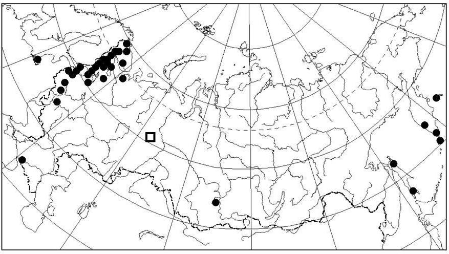 72 E.D. LAPSHINA & A.I. MAKSIMOV Fig. 1. Distribution of Sphagnum tenellum in Russia: open square new location of the species in Western Siberia; solid circles locations known earlier.