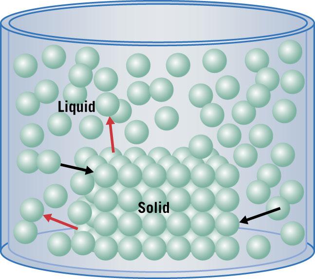 Dynamic equilibria is also reached in melting and sublimation and also in most chemical reactions. At the melting point a solid begins to change into a liquid as heat is added.