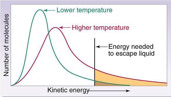 Because kinetic energy (of molecules in any phase) depends on temperature, so does vapor pressure of a liquid.