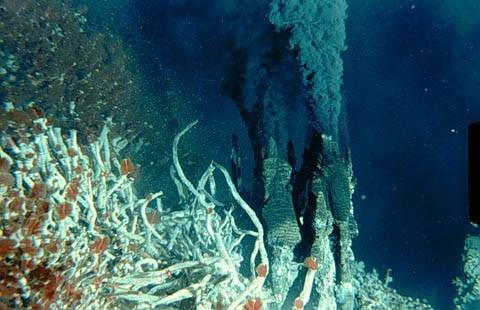 Organic synthesis in Hydrothermal Vents Actually, the story may be more complicated:
