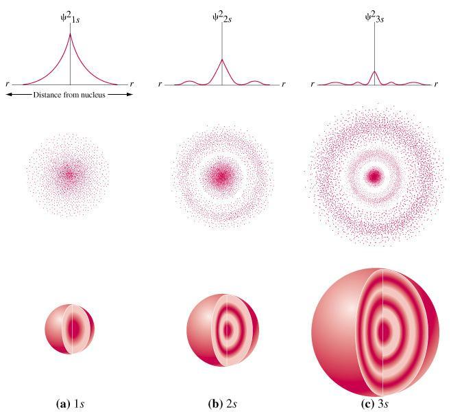 s Orbitals spherical shape = s = sharp Labeling system arose from early spectral line studies n = 2