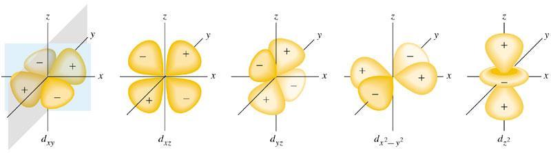 d Orbitals daisy shaped (two p orbitals) = d = diffuse