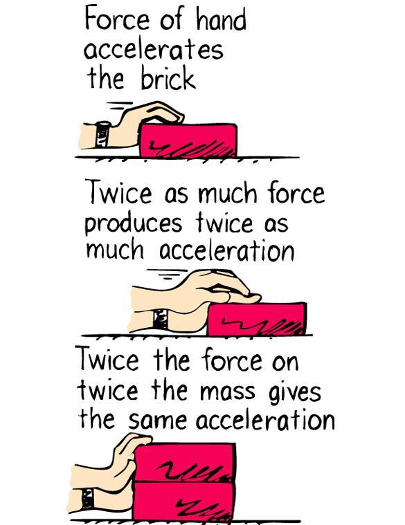 Towards Newton s Second Law of Motion (i) Acceleration is created by a net force E.g. Kick a soccer ball: what forces acting, causing what motion? First: accelerates from rest (i.