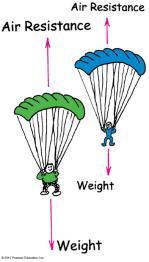 Acceleration is equal when air resistance is negligible. Acceleration depends on force (weight) and inertia.