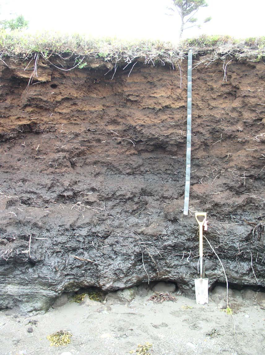 Post Glacial Deposits Alluvium - sediments deposited in modern-day floodplains.