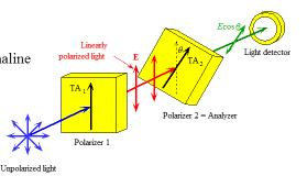 Figure 3. Randoml polarized light is incident on polarizer 1 with transmission axis TA1.