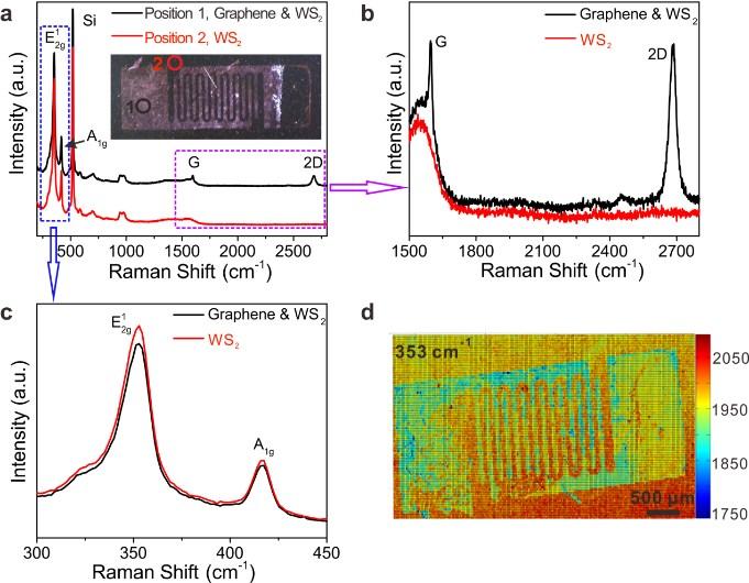 Figure S6. aman characterization of the as-fabricated transparent humidity sensor with graphene IDEs attached onto WS film. (a) aman spectrum of the graphene IDE/WS film.