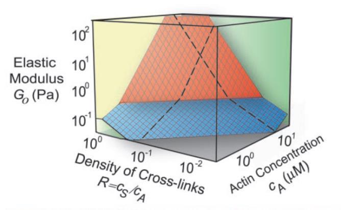 Figure 7: Concentration dependence of elastic modulus. is ratio between linker and actin concentration. Blue colour represents region of linear elasticity.
