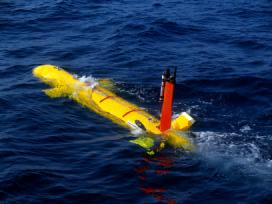 Other Deep Assets Used in FY2006 KOK & NURP Submersibles Pisces IV and