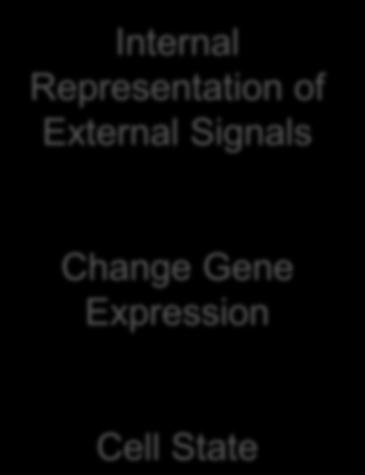 Signals Change Gene Expression Cell State Sensing > Membrane