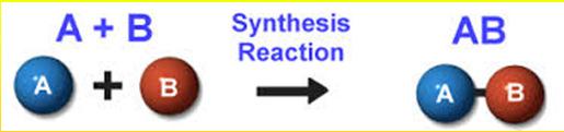 Synthesis Reaction Two or more substances (reactants) Combine to form only one substance (product) K + Cl 2 KCl Mg + O 2 MgO Fe