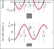The velocity and acceleration for simple harmonic motion can be found by