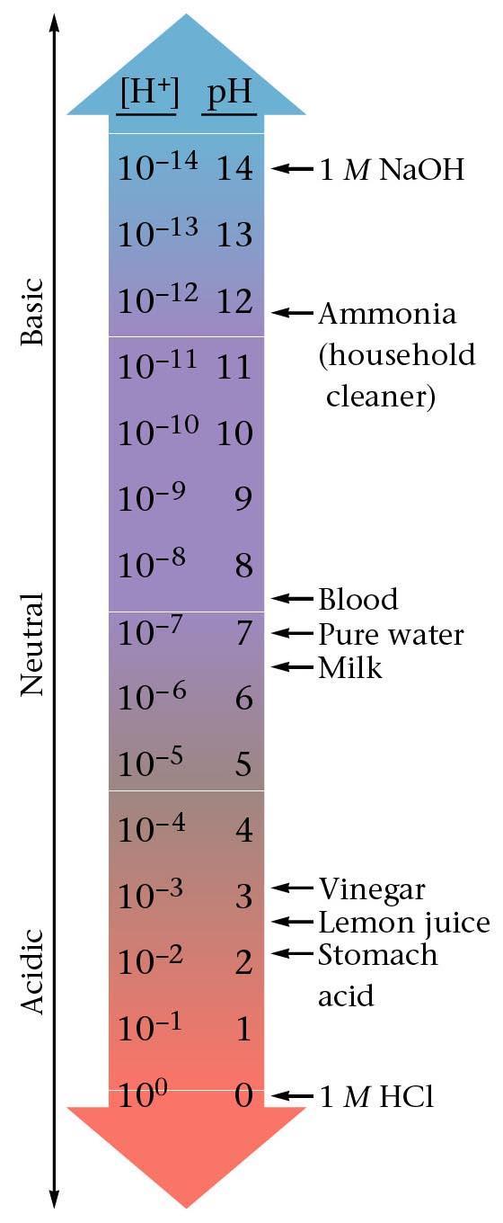 The ph scale is a way of expressing the strength of acids and bases.