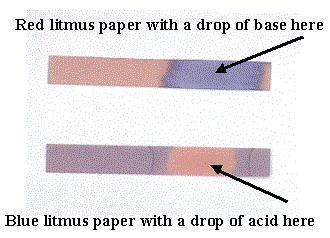 Paper tests like litmus paper and ph paper