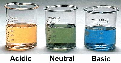 identify acids and bases based on general observable properties