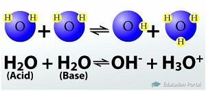 Remember: H 2 O can function as both an ACID and