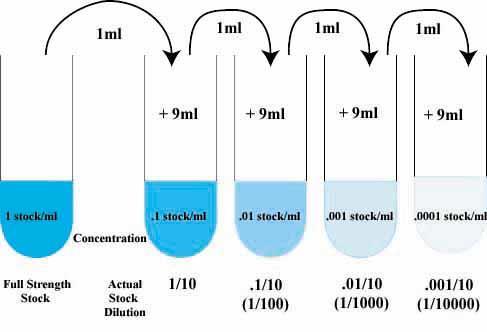complete a serial dilution of a solution explain the