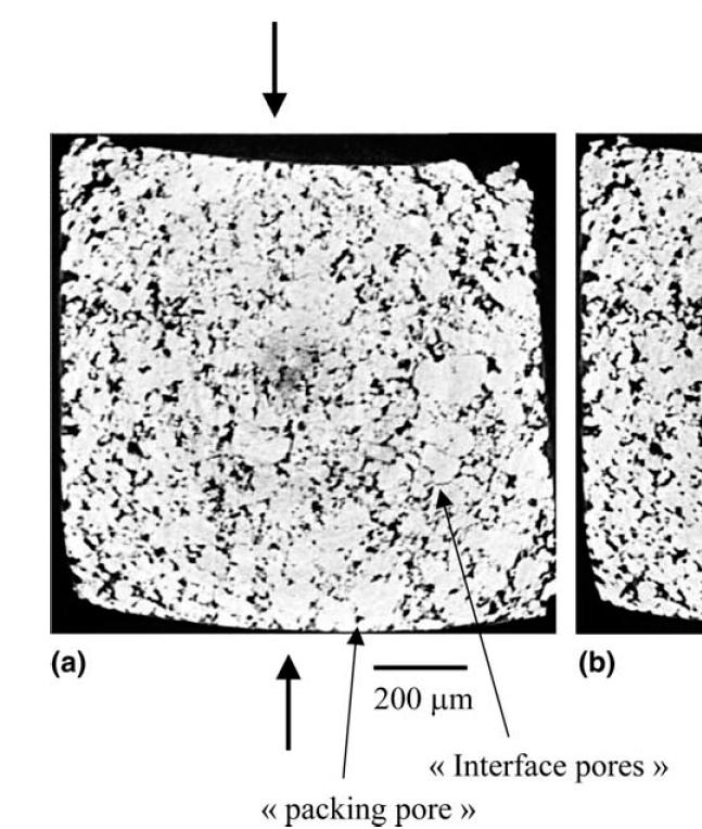 23 (a) (b) Figure 1.6 (a) Pore morphology in compacted distaloy sample by x-ray microtomography.