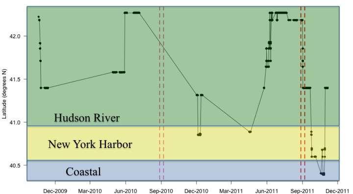 Exploratory behavior Fish ID 5 (UEC) returned to NY Harbor on 22 Oct 2011, moved out to the