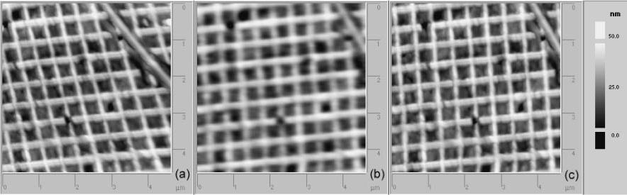 Topographic Images of AFM Square Grating Without correction With
