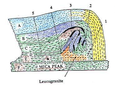 4 Fig. 2. An interpretive diagram, showing relative positions of units A-F in the Gold Butte anticline; not at the same scale as in Fig. 1.
